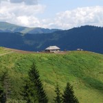 stana-in-muntii-rodnei stana-in-muntii-rodnei