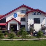 casa enache