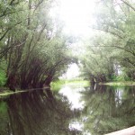 canal chirchinetu canal chirchinetu
